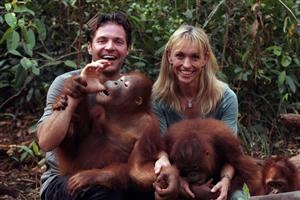 En orangutangs dagbok foto TV4