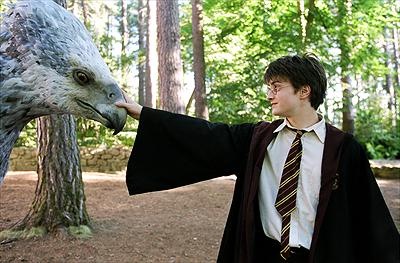 Daniel Radcliffe som Harry Potter. Foto Warner Bros